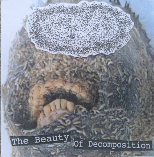 The Beauty of Decomposition
